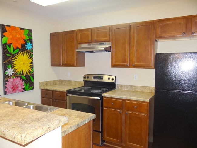Studio Kitchen