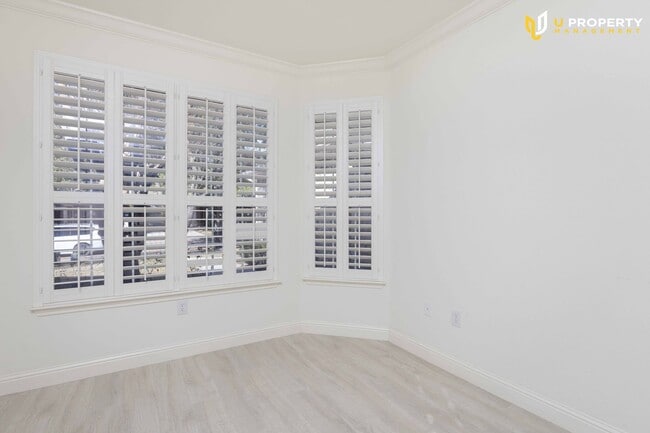 Photo - What's special