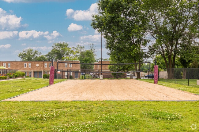 Volleyball Court