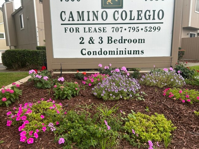 Camino Colegio Estates