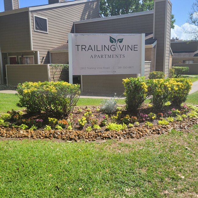 Photo - Trailing Vine Apartments