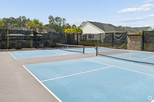Pickleball Court
