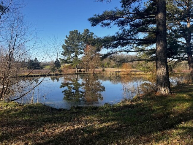 Photo - 19245 Tuttle Rd