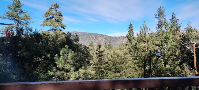 Photo - Nice 2 Bedroom / 2 Bathroom in Pine Mountain Club - Fully Furnished!
