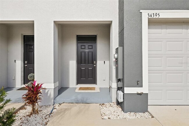 34395 Sorrel Mint Dr
