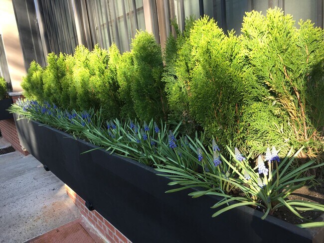 Photo - 2423 Cambreleng Ave Unidad 2A