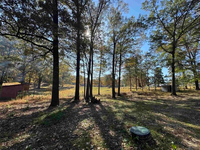 Photo - 800 Helene Dr