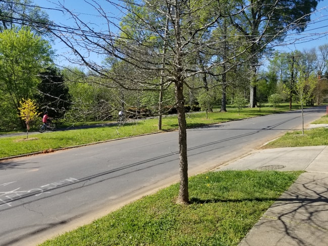 This home is literally right across the street from the greenway! - 2931 Westfield Rd