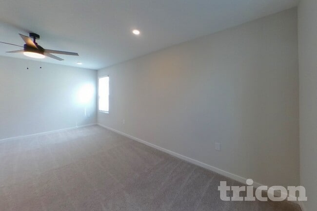 64 Brazil Nut Cir