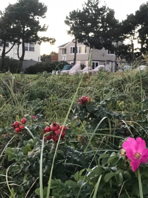 Photo - 5 Parcher Ave