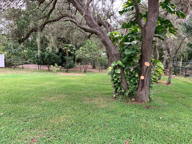 Photo - 1539 Black Bear Ave