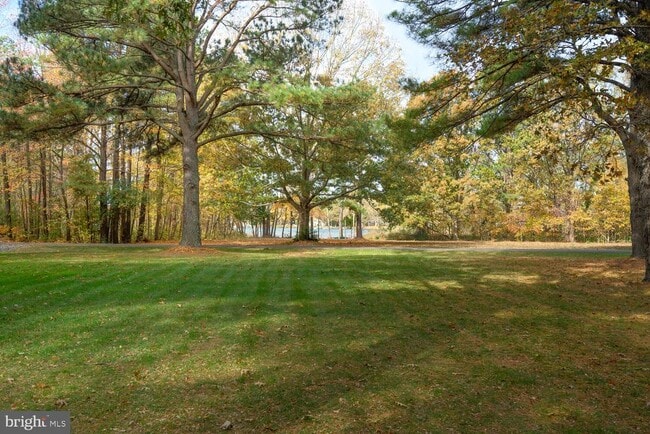 Photo - 23869 Mt Misery Rd