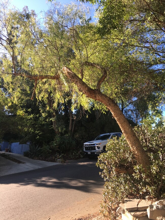Entrada de coches - 1708 Upperton Ave