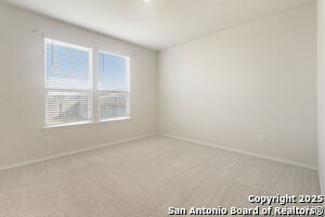 Photo - 10243 Band Wagon