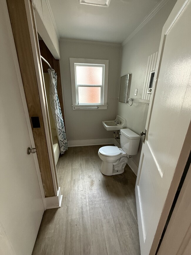 Photo - 210 Horne St