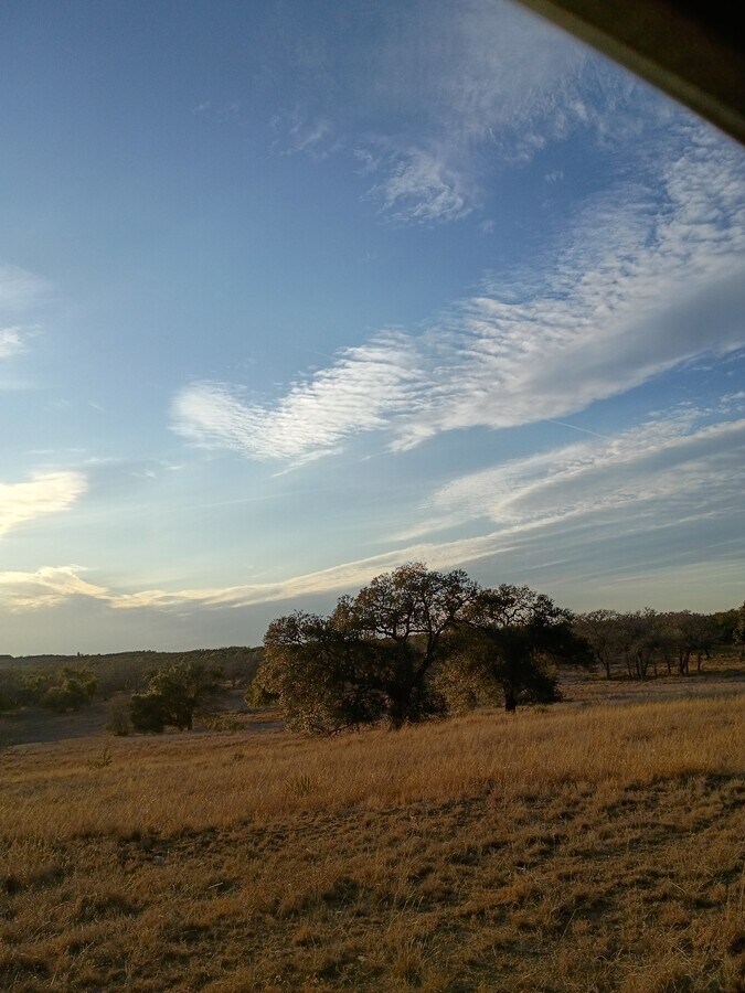 picture coming soon - 735 Waverly Ave