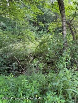 Photo - 35 Keystone Rd