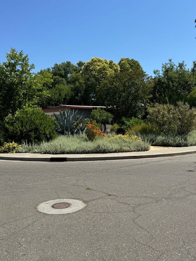 Photo - WELL MAINTAINED SINGLE STORY HOME WITH SOLAR PANELS