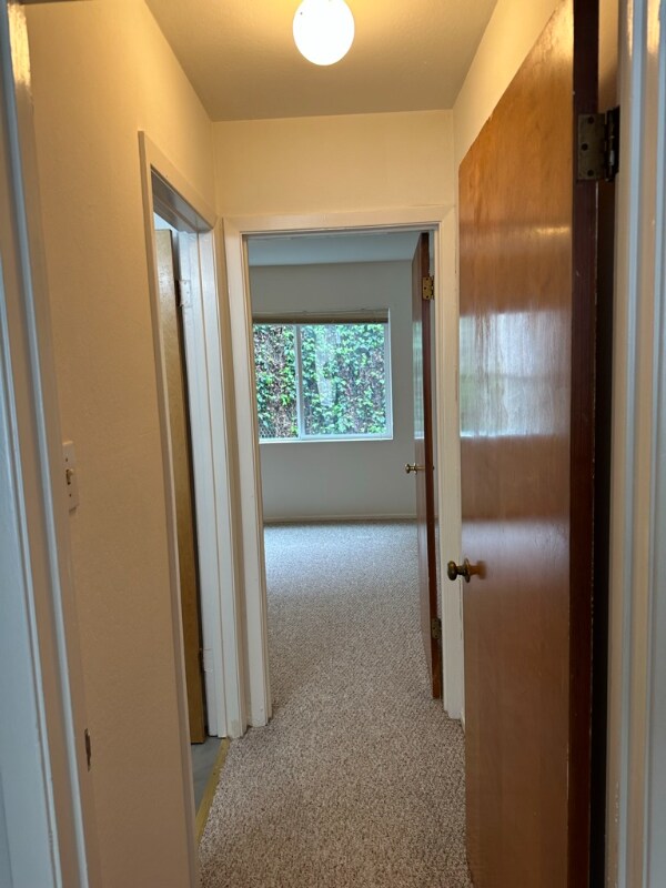 Photo - 241 Francisco St