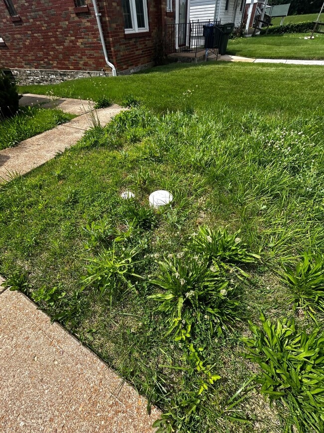Photo - 8554 Oriole Ave