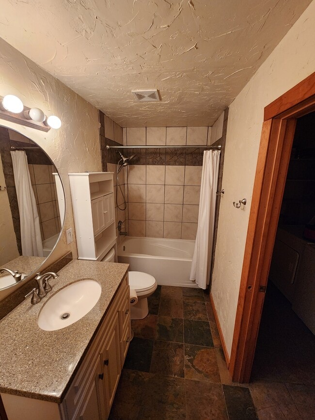 Downstairs Bathroom - 23045 Schussmark Trl