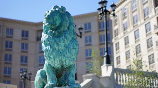 Photo - The Alexander