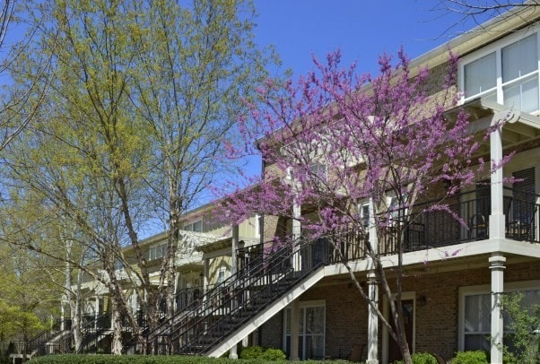 Photo - The Woodlands of Athens