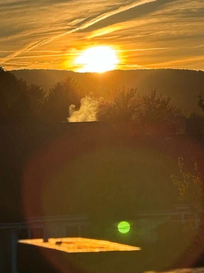 Photo - 1706 Wood St