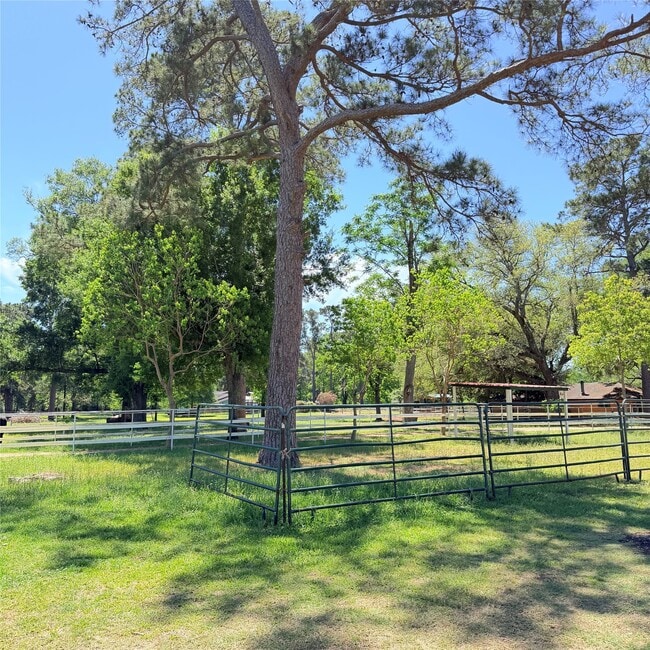 Photo - 26427 Dobbin-Huffsmith Rd