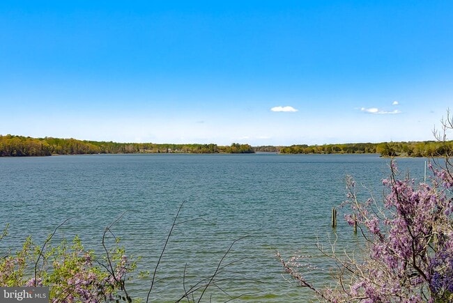 Photo - 19479 N Snow Hill Manor Rd