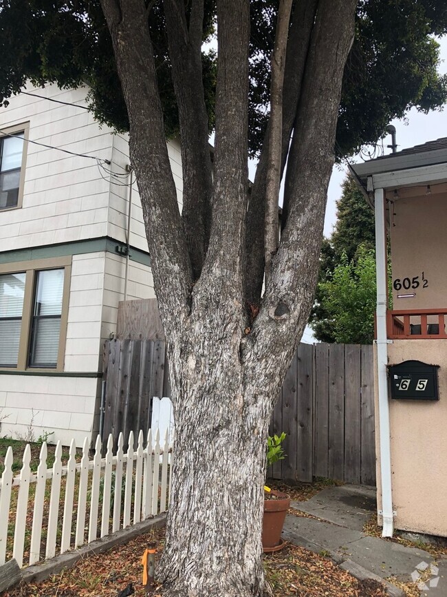 Building Photo - 605 Seabright Ave Unit 605 1/2 Seabright Rental