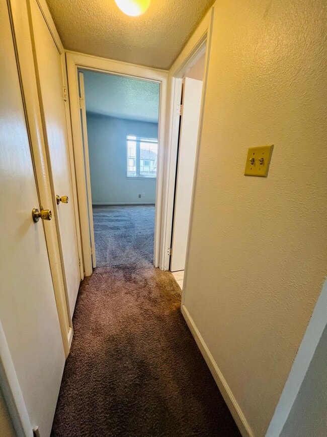 Photo - Spacious 1 Bedroom 1 Bath in the heart of Coralville!