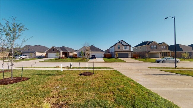 Photo - 31319 Black Frst Xing