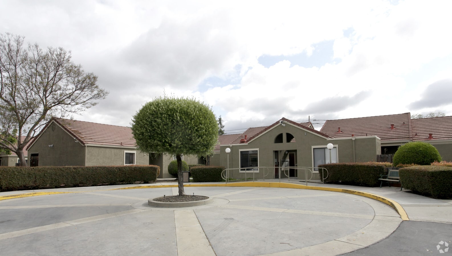 Photo - Olive Tree Plaza