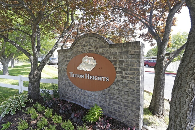 Welcome to Triton Heights! - Triton Heights