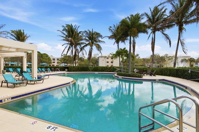 Pool - Eagle Walk Off-Campus Student Housing