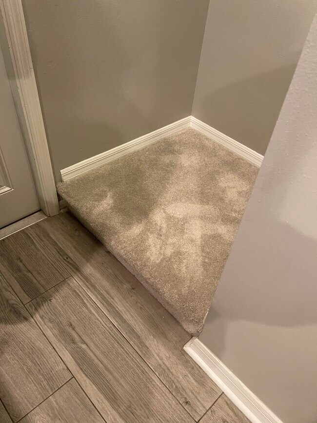 8534 Trail Wind Dr House House Rental in Tampa, FL