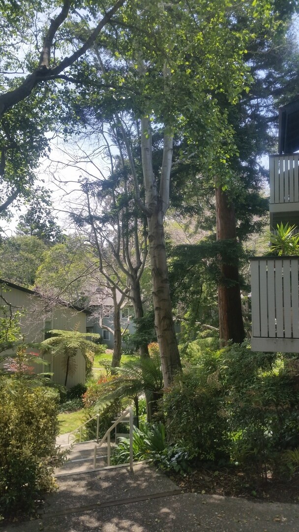 Photo - MOVE-IN READY! Peaceful 1-Bedroom Top Floo... Unit 30