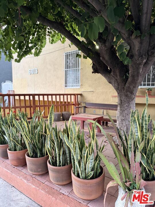 Building Photo - 6013 Carlton Way Unit 1