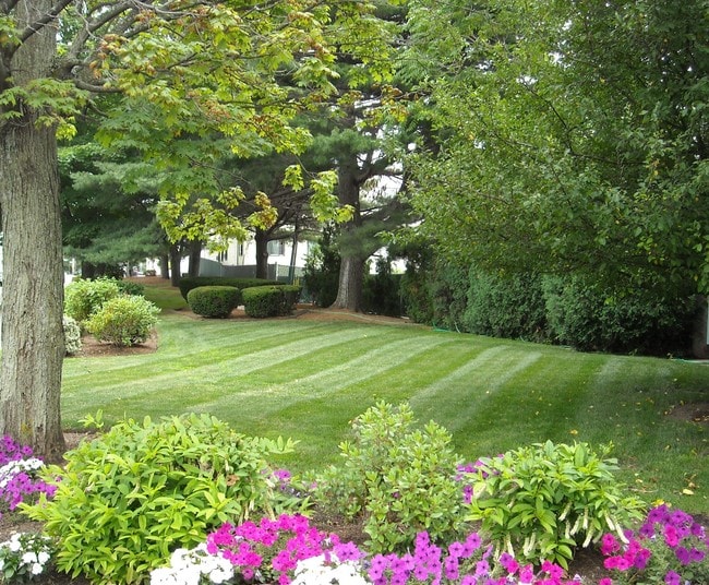 Photo - Brandywyne Village