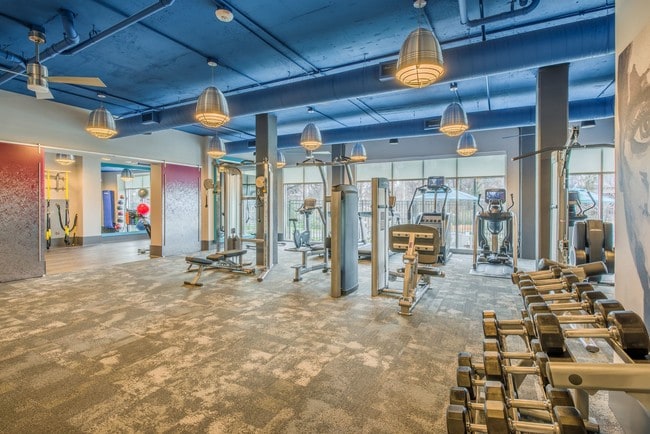 Photo - Cadence Music Factory