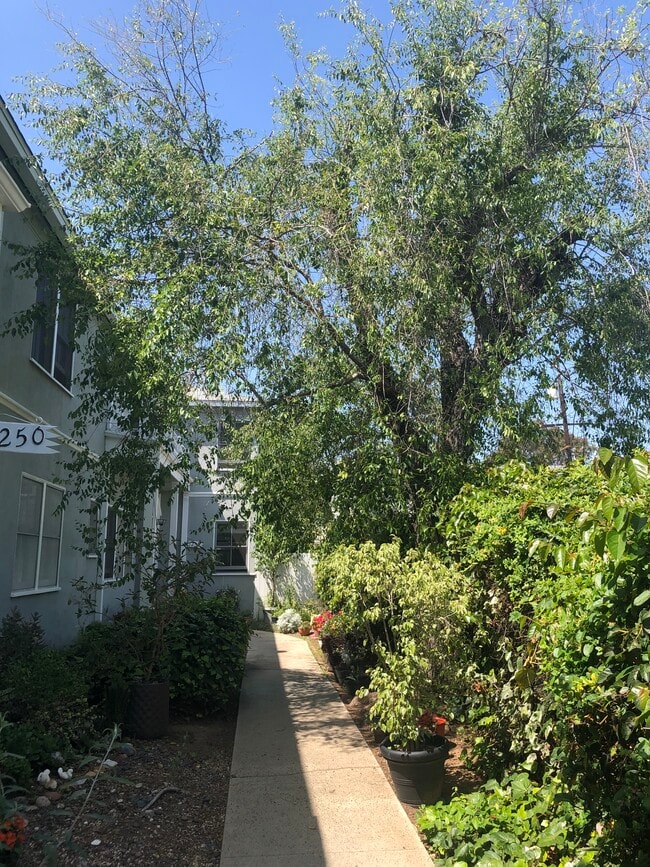 1250 Franklin St Unidad B