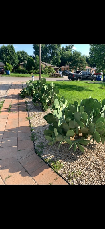 Photo - 3739 Almazan Dr