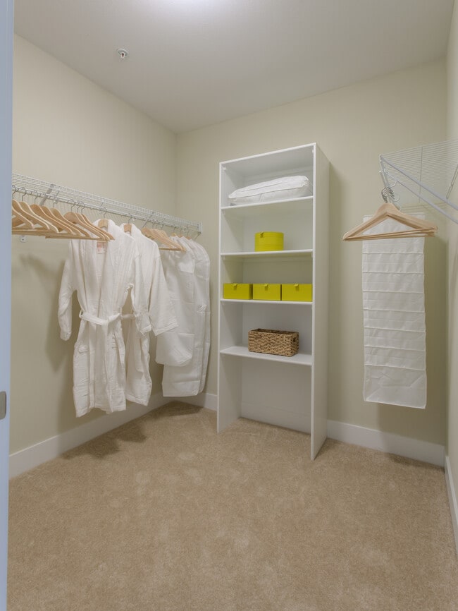Closet - Avalon Morrison Park