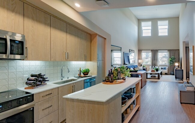 Modern Open Kitchen and Bright Living Room
