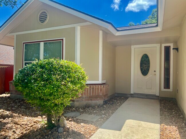 Photo - 9215 Autumn Branches