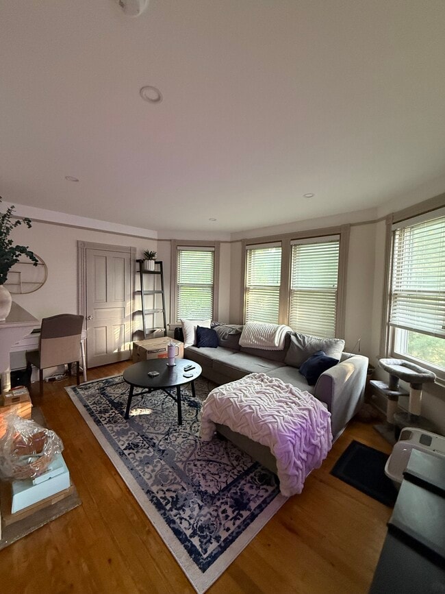 Living room - 207 Cricket Ave Unit 2nd floor