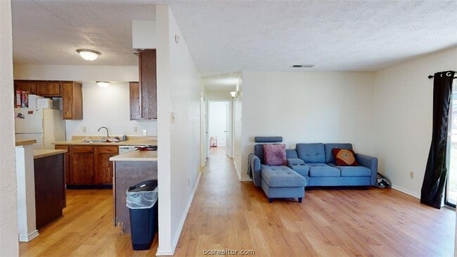 1005 Spring Loop
