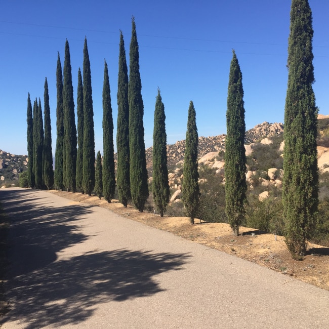 Photo - 18988 Via Pamela