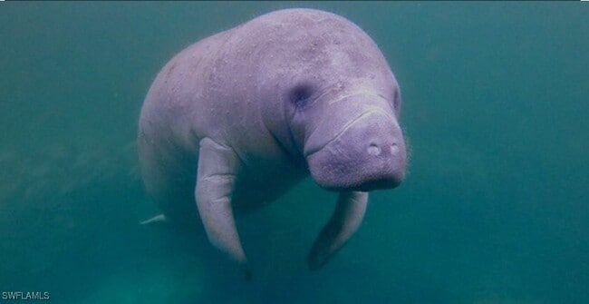 Photo - 333 Sunrise Cay Unit 2